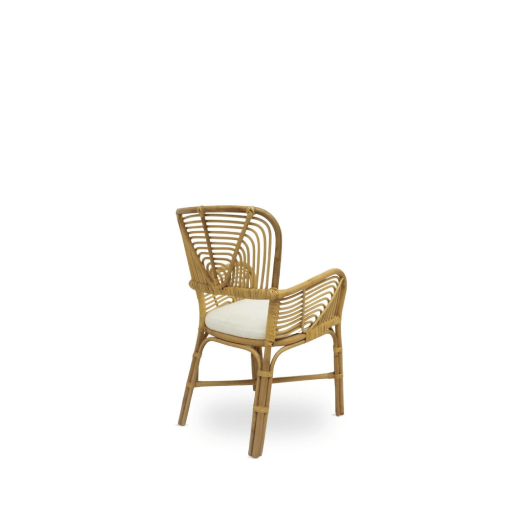 Ashaya Arm Chair