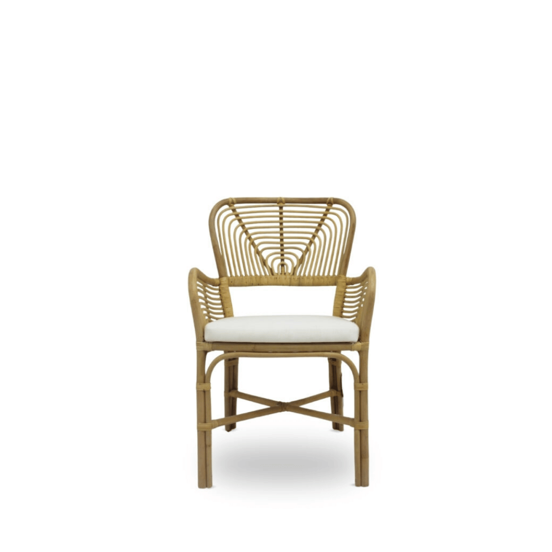 Ashaya Arm Chair