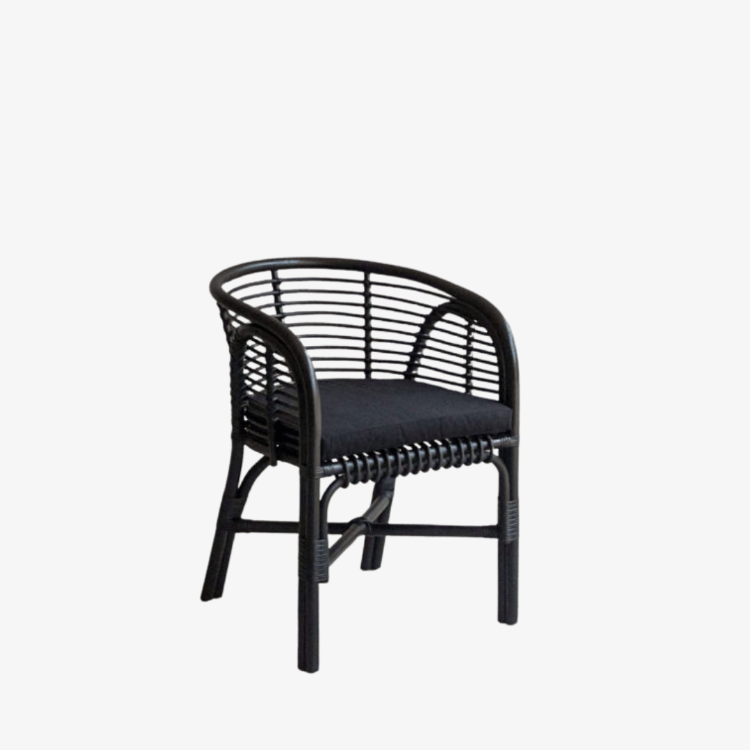Atacama Dining Chair