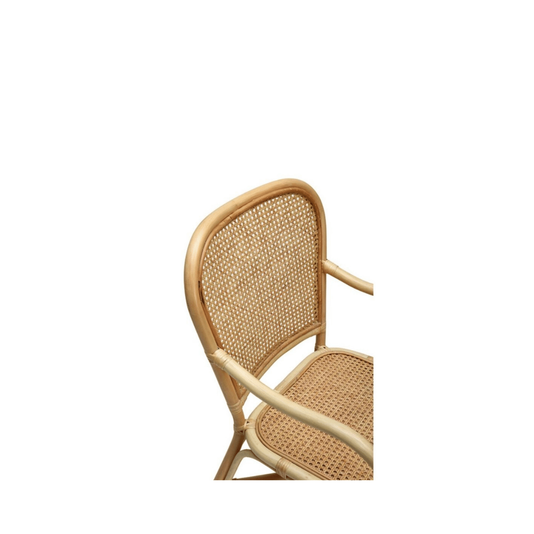 Butterfly Dining Chair