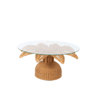 Coca Coffee Table