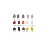 Collection Rays