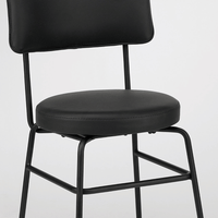 Dijon Art Gallery Dining Chair