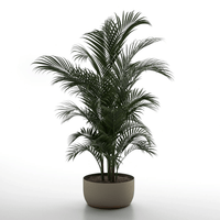 Grao