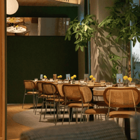 Rabbit Dining Chair