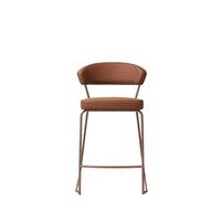 Sally's Counter Stool