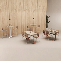 School Canteen Dining Chair