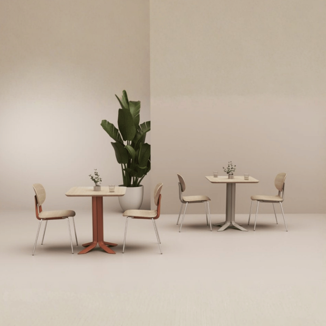 School Canteen Dining Chair