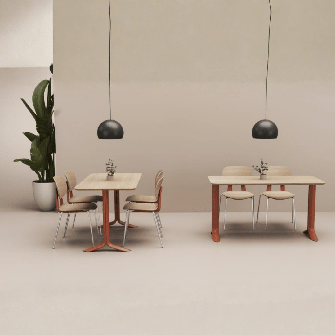 School Canteen Dining Chair
