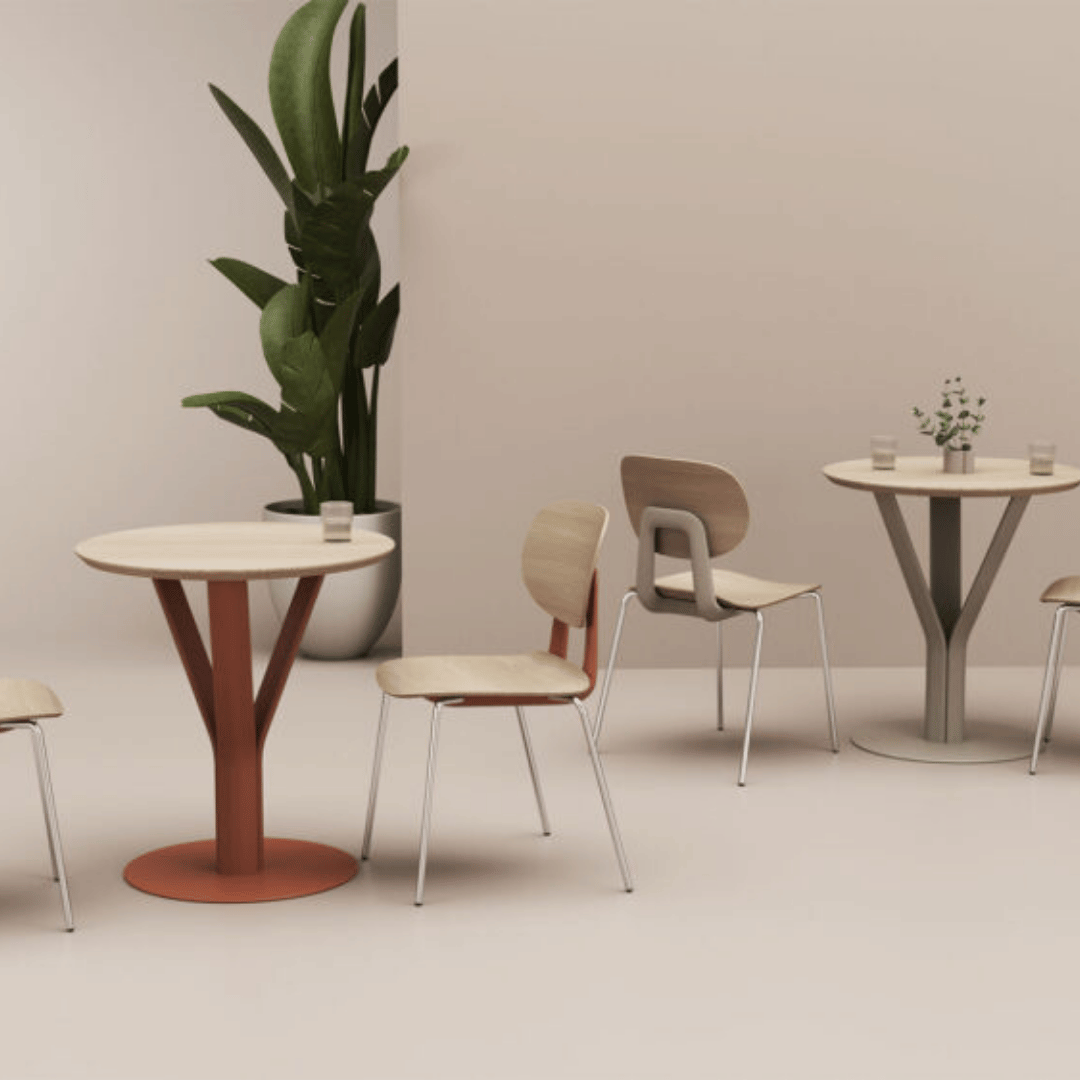 School Canteen Dining Table